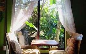 Casa Flor De Annia ~ Cozy 2 Bdrm On The River Sierpe ~ Walkable To Town