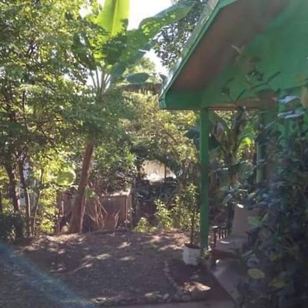 Casa Flor De Annia ~ Cozy 2 Bdrm On The River Sierpe ~ Walkable To Town Exterior photo