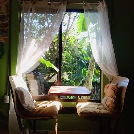 Casa Flor De Annia ~ Cozy 2 Bdrm On The River Sierpe ~ Walkable To Town Exterior photo