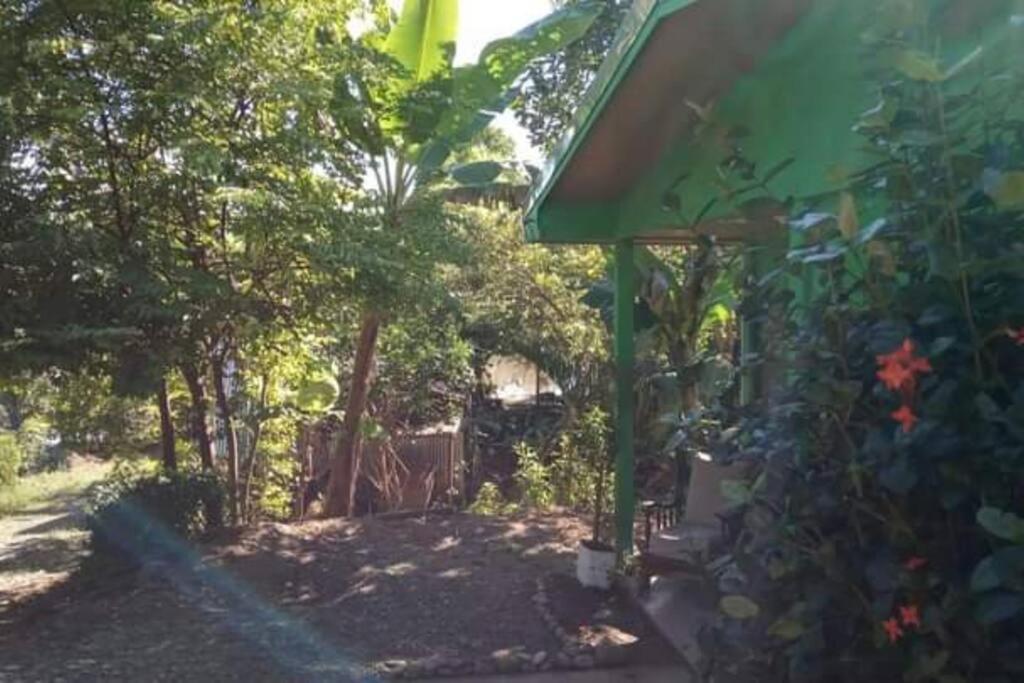Casa Flor De Annia ~ Cozy 2 Bdrm On The River Sierpe ~ Walkable To Town Exterior photo