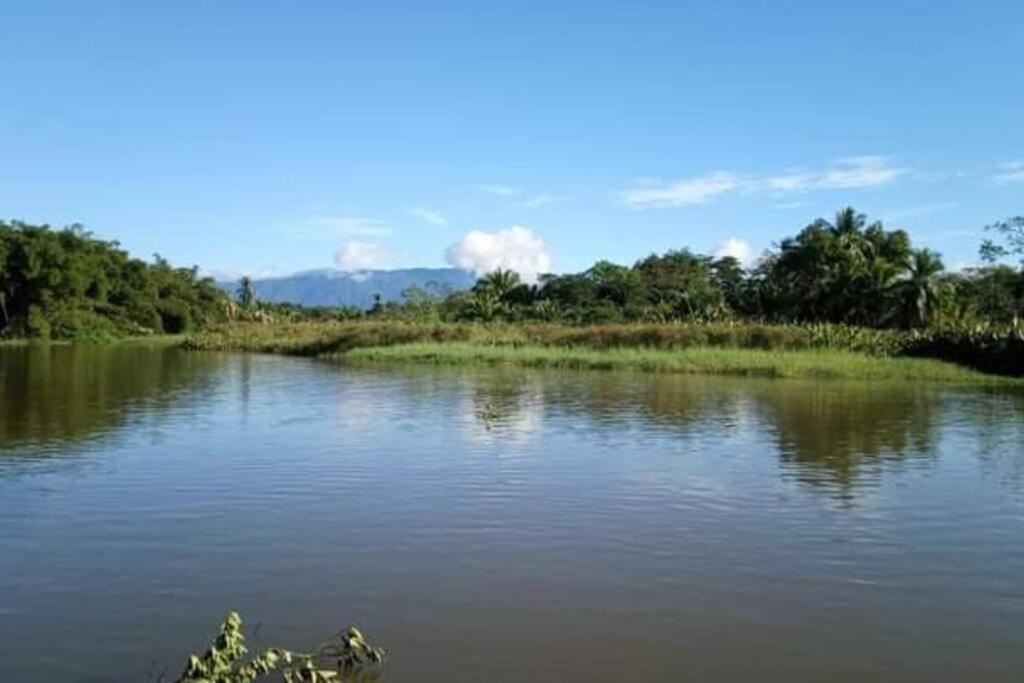 Casa Flor De Annia ~ Cozy 2 Bdrm On The River Sierpe ~ Walkable To Town Exterior photo