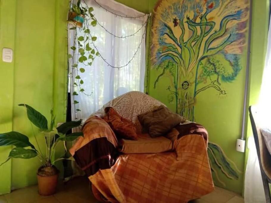 Casa Flor De Annia ~ Cozy 2 Bdrm On The River Sierpe ~ Walkable To Town Exterior photo