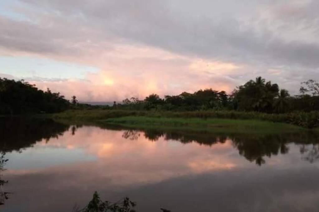 Casa Flor De Annia ~ Cozy 2 Bdrm On The River Sierpe ~ Walkable To Town Exterior photo