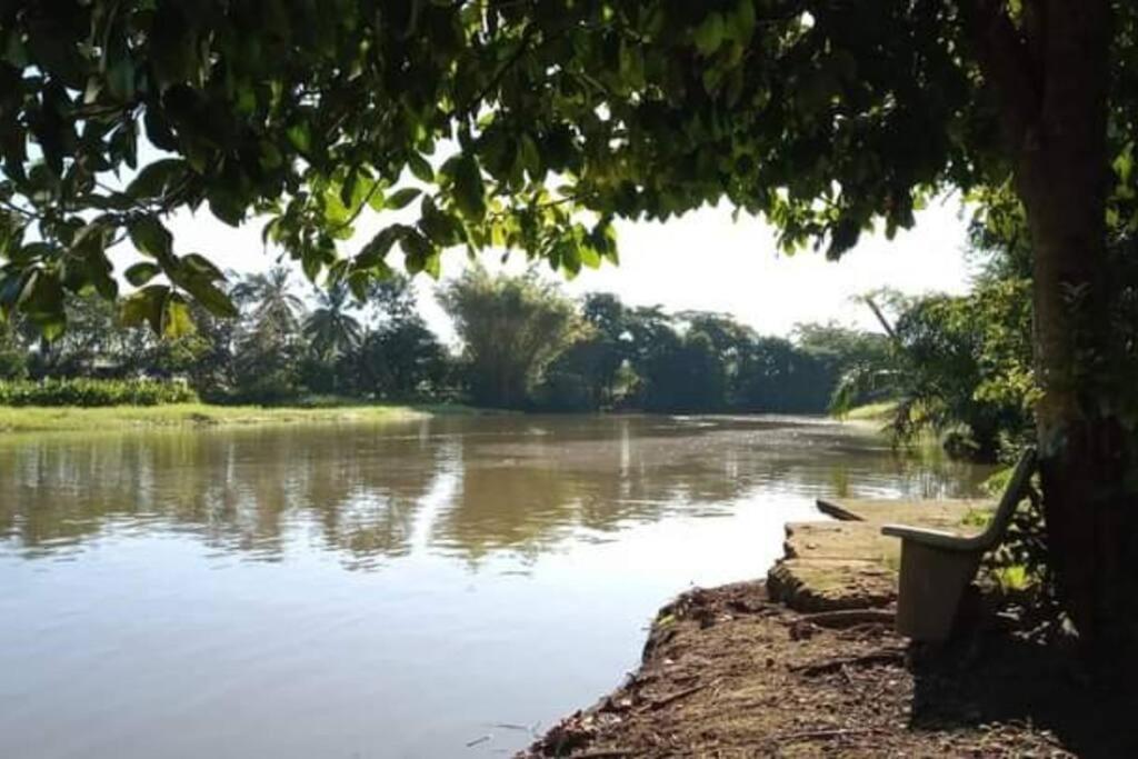 Casa Flor De Annia ~ Cozy 2 Bdrm On The River Sierpe ~ Walkable To Town Exterior photo