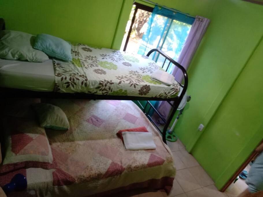 Casa Flor De Annia ~ Cozy 2 Bdrm On The River Sierpe ~ Walkable To Town Exterior photo