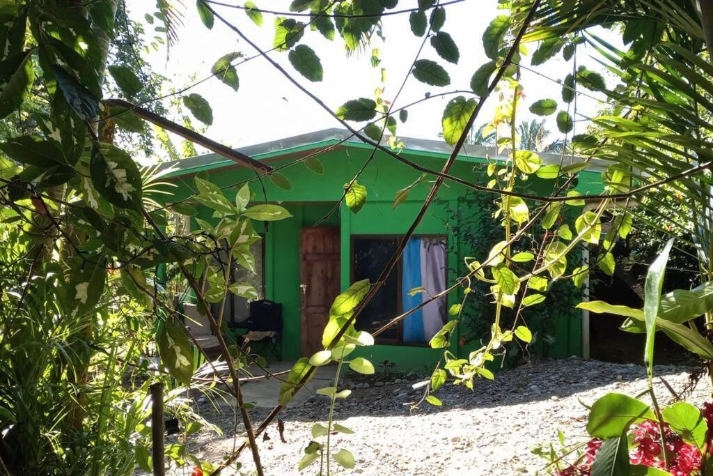 Casa Flor De Annia ~ Cozy 2 Bdrm On The River Sierpe ~ Walkable To Town Exterior photo