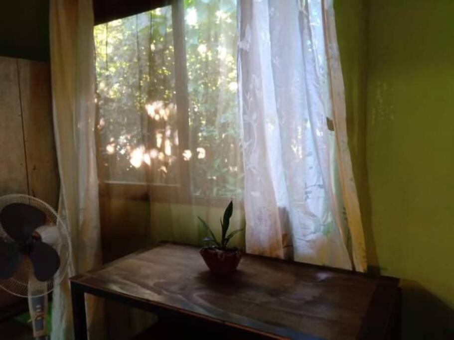Casa Flor De Annia ~ Cozy 2 Bdrm On The River Sierpe ~ Walkable To Town Exterior photo