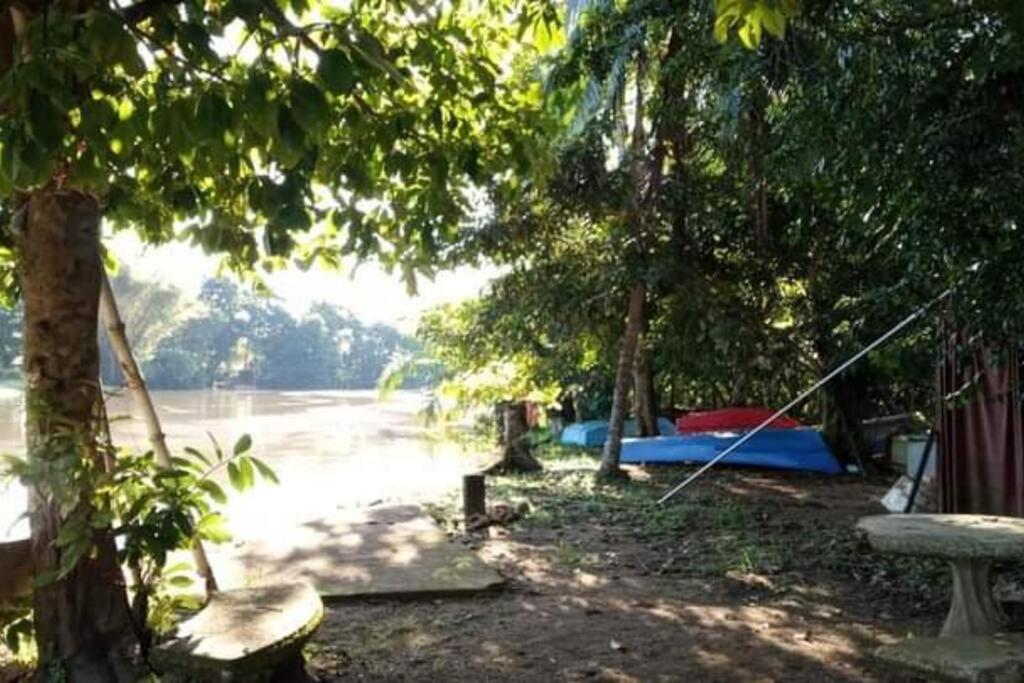 Casa Flor De Annia ~ Cozy 2 Bdrm On The River Sierpe ~ Walkable To Town Exterior photo